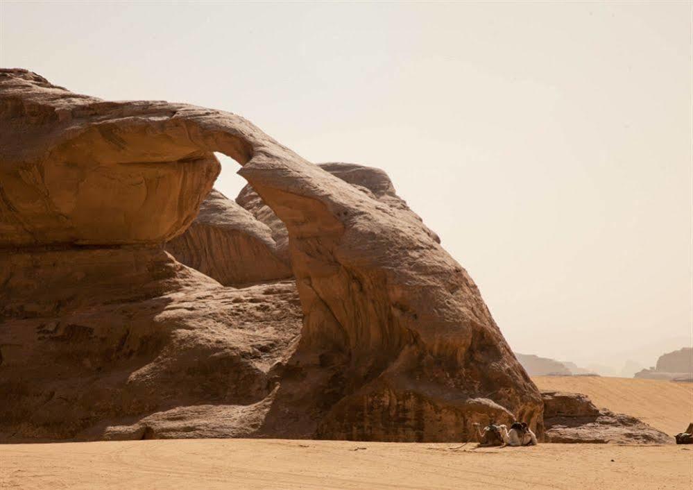 Wadi Rum Caravan Camp Buitenkant foto